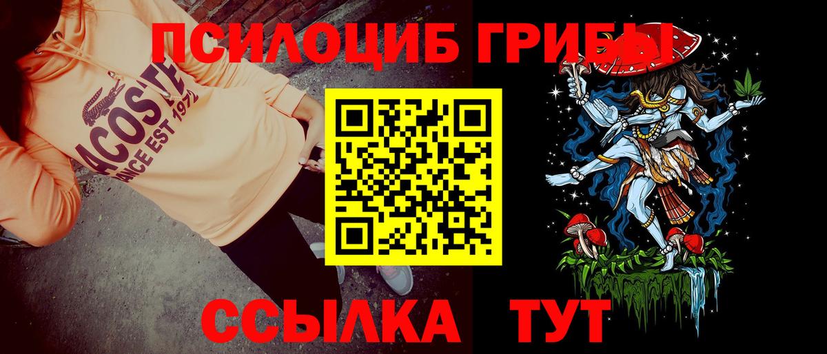 Псилоцибиновые грибы Psilocybine cubensis Ачинск