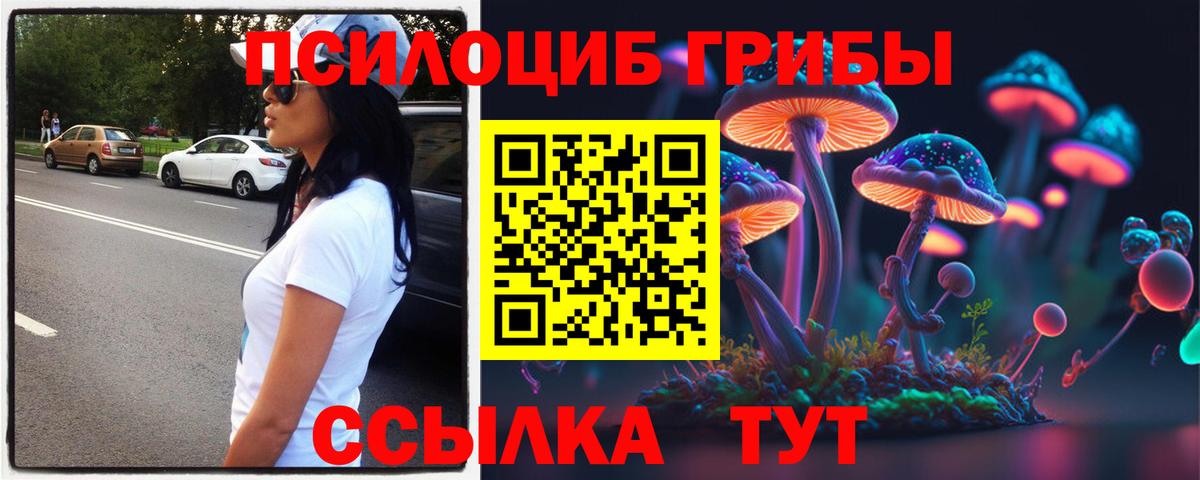 Псилоцибиновые грибы мухоморы  Вход с VPN  Ачинск  Псилоцибиновые грибы мицелий 